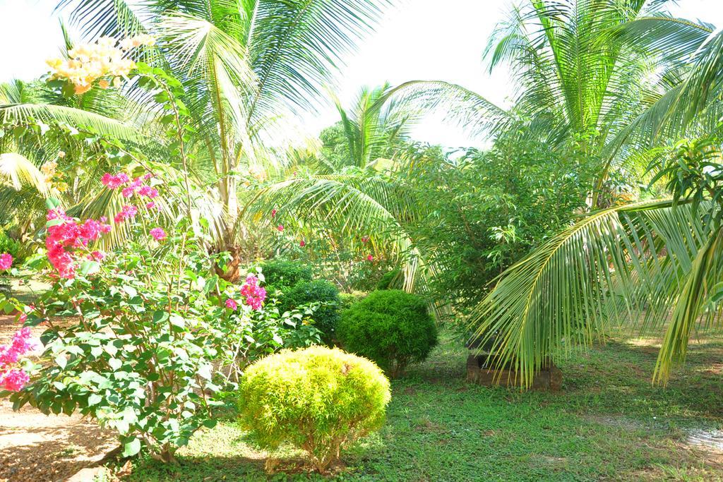 Coconut Garden House Hotel Udawalawe Exterior photo