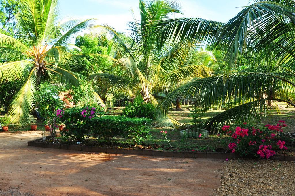 Coconut Garden House Hotel Udawalawe Exterior photo